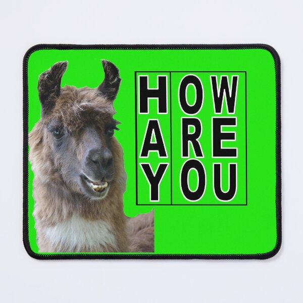 Item preview, Hay How Are You Llama with Black Letters designed and sold by AliCatOriginals.