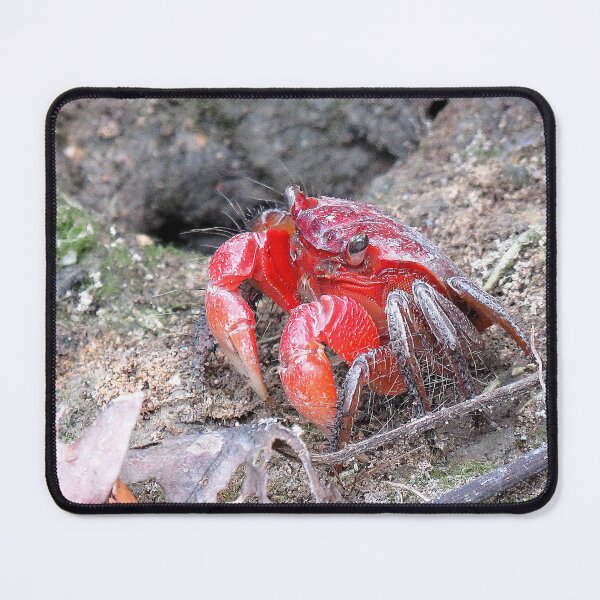 Item preview, Red Flower Crab designed and sold by Linda Walsh.
