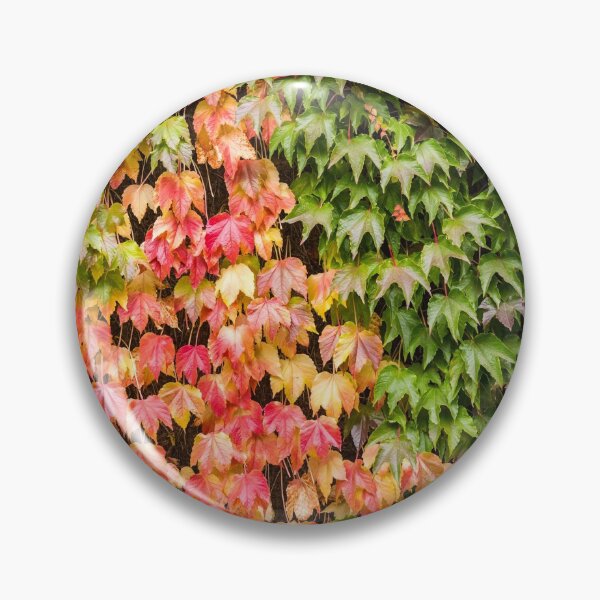 Item preview, Onset of Autumn 2 designed and sold by Matt Malloy.