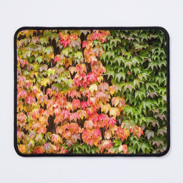 Item preview, Onset of Autumn 2 designed and sold by Matt Malloy.
