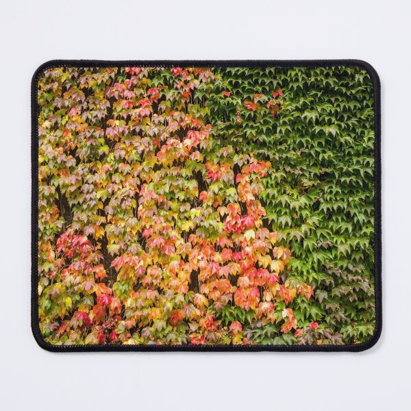 Item preview, Onset of Autumn designed and sold by Matt Malloy.