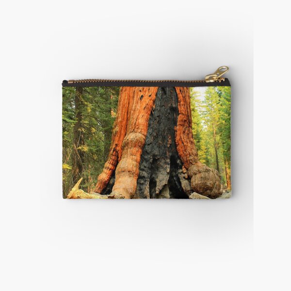 Item preview, Giant Sequoia - Sequoia National Park designed and sold by Honor Kyne.