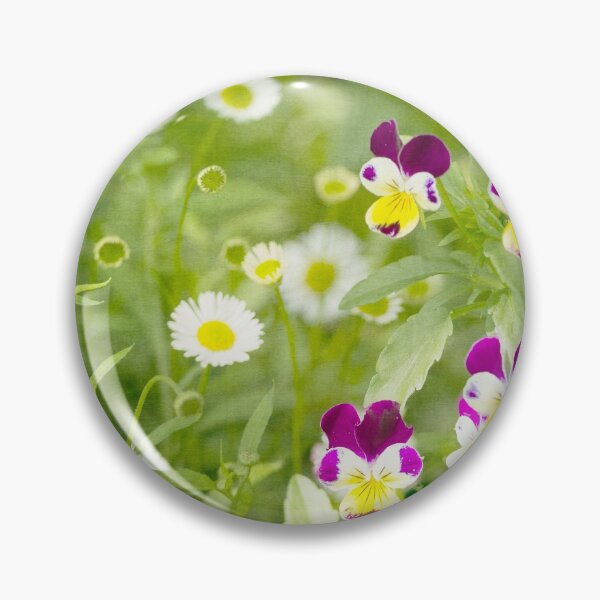 Artikelvorschau, Daisies mixed with pansies entworfen und verkauft von Matt Malloy.