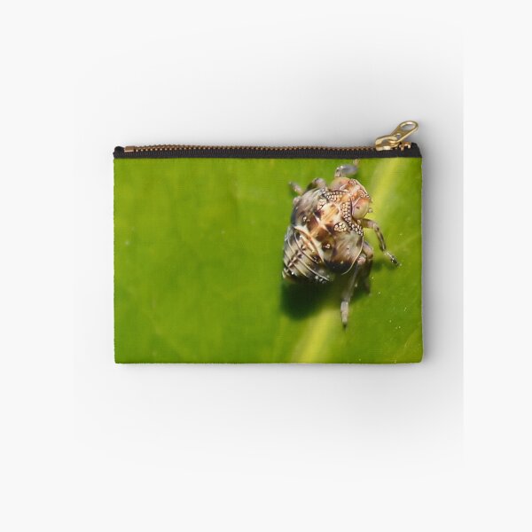 Item preview, Very Tiny Bug.   Leaf hopper nymph  [ Issus coleoptratus. ] designed and sold by relayer51.