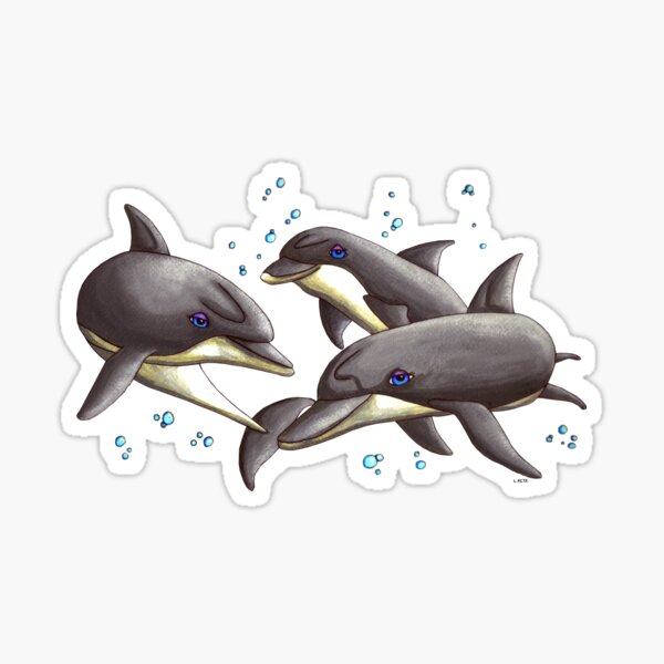 Dolphins Sticker