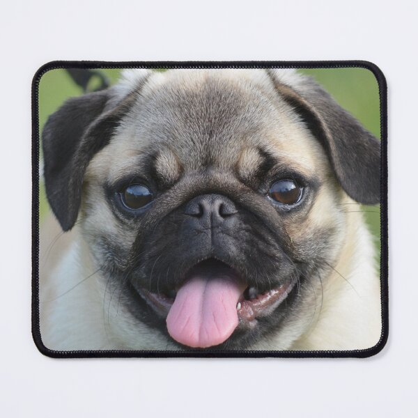 Item preview, Just too cute- baby pug designed and sold by lizdomett.