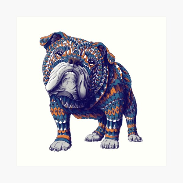 English Bulldog (Color Version) Art Print