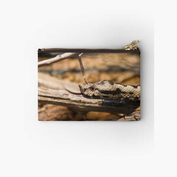 Item preview, Horned Viper - Looking for Prey designed and sold by stetre76photo.