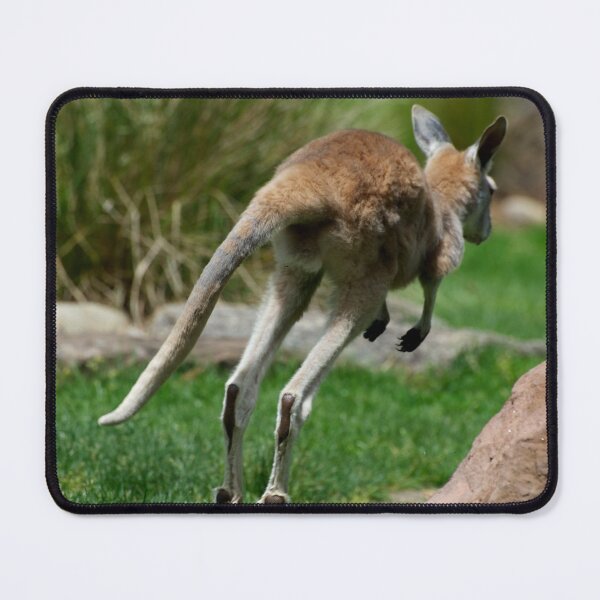 Item preview, Joey On The Run designed and sold by GP1746.