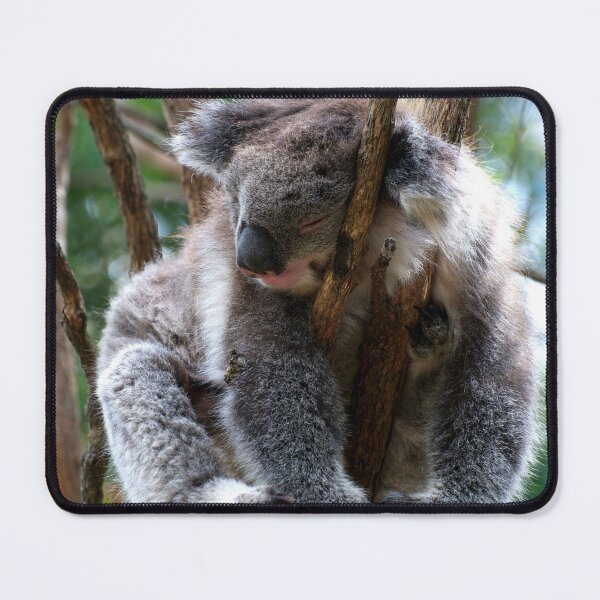 Item preview, No Such Thing As Too Relaxed For A Koala designed and sold by GP1746.