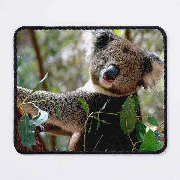 Item preview, Is This The Pose You Wanted? designed and sold by GP1746.