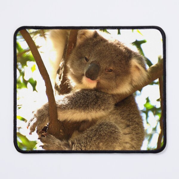 Item preview, Koala Joey Exploring designed and sold by GP1746.