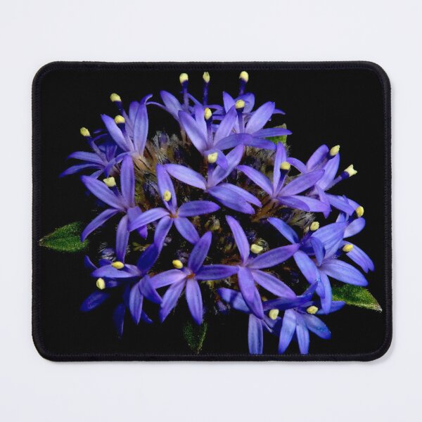 Item preview, Blue Pincushion Flower designed and sold by GP1746.