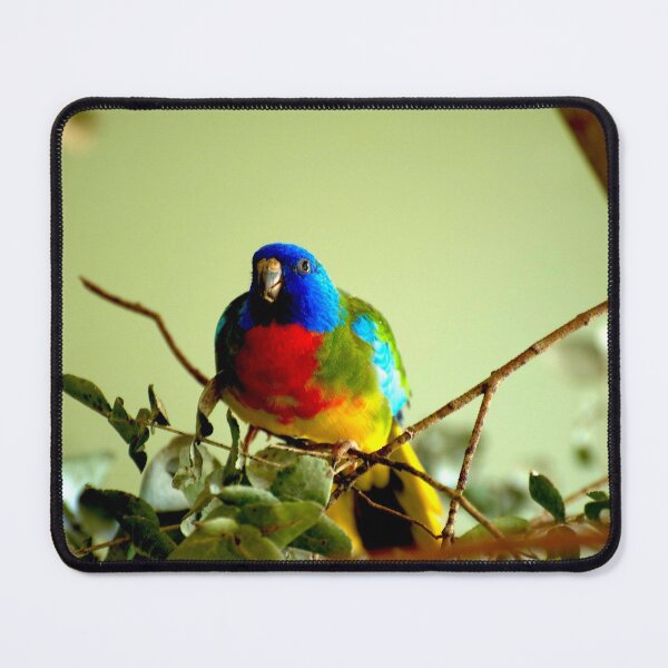 Item preview, Scarlet Chested Parrot designed and sold by GP1746.