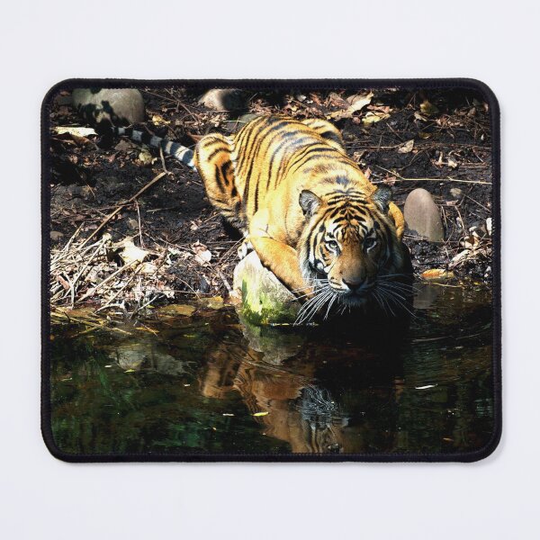 Item preview, Tiger Reflections designed and sold by GP1746.