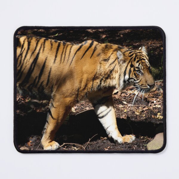 Item preview, Tiger On Patrol designed and sold by GP1746.