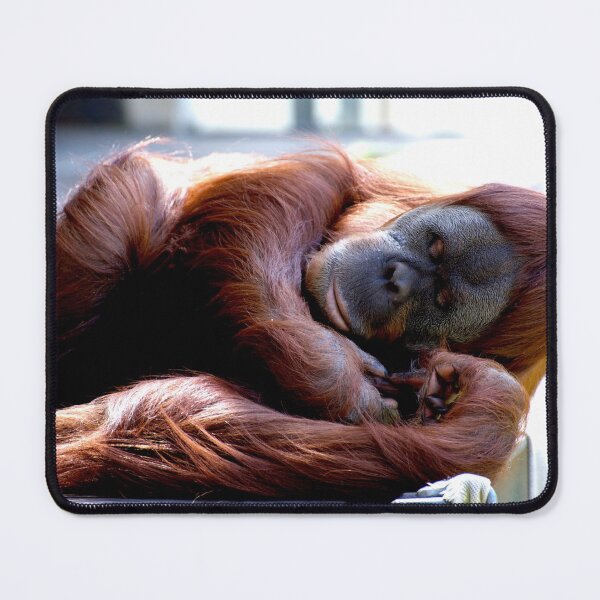 Item preview, Orang Utang - Sleeping Beauty designed and sold by GP1746.