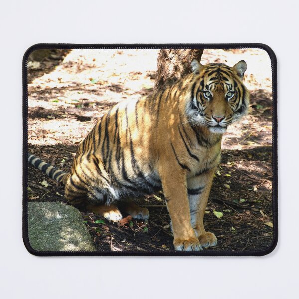 Item preview, Tiger Eyes designed and sold by GP1746.