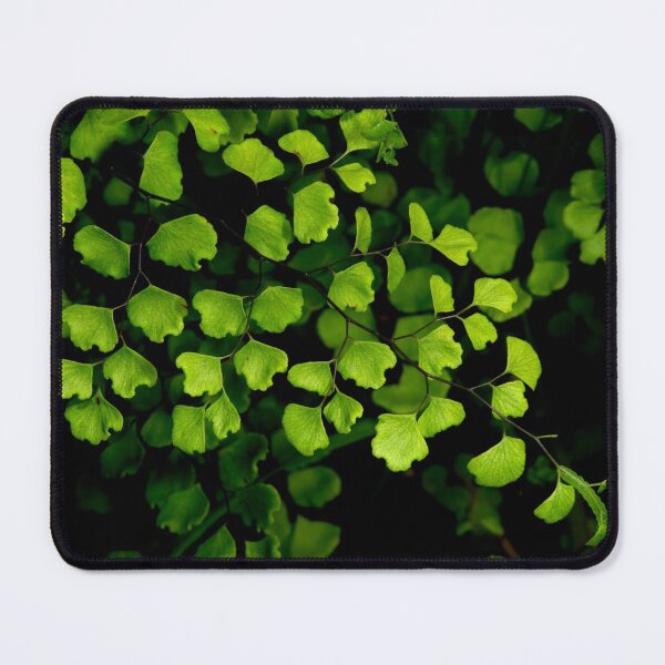 Item preview, Maidenhair Fern designed and sold by GP1746.