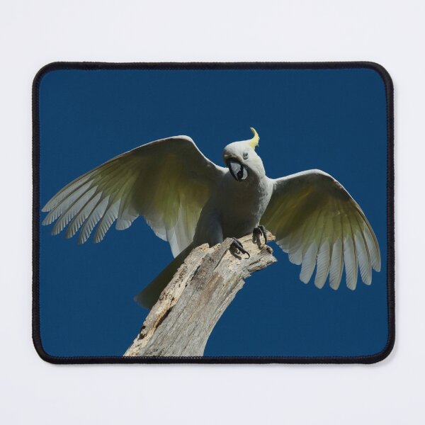 Item preview, It's Windy Up Here designed and sold by GP1746.