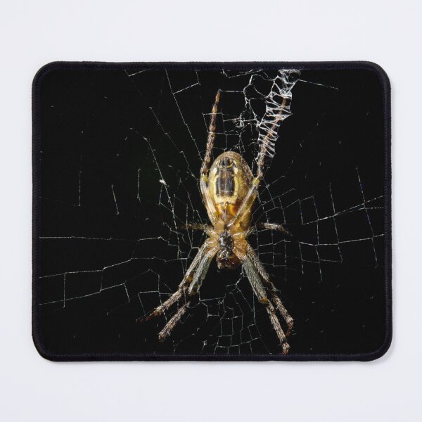 Item preview, St Andrews Cross Spider designed and sold by GP1746.