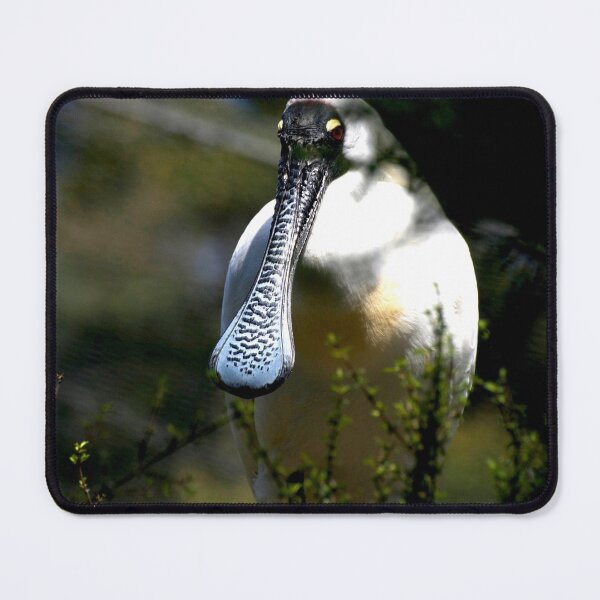 Item preview, This Is Why I'm Called A Spoonbill designed and sold by GP1746.