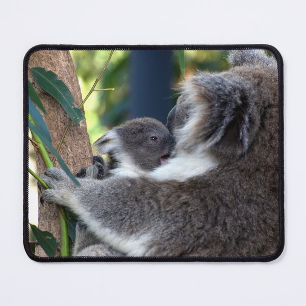 Item preview, Baby Koala - Give Us A Kiss Mum designed and sold by GP1746.