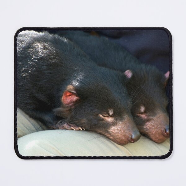 Item preview, Pair Of Lap Devils designed and sold by GP1746.