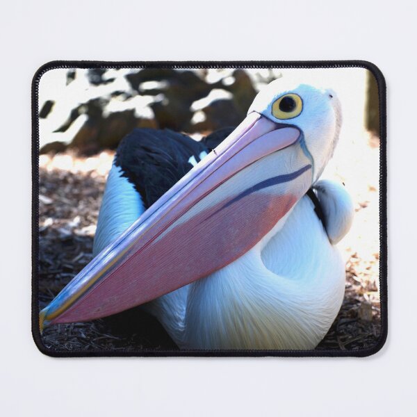 Item preview, My Beak Can Hold More Than My Belly Can designed and sold by GP1746.