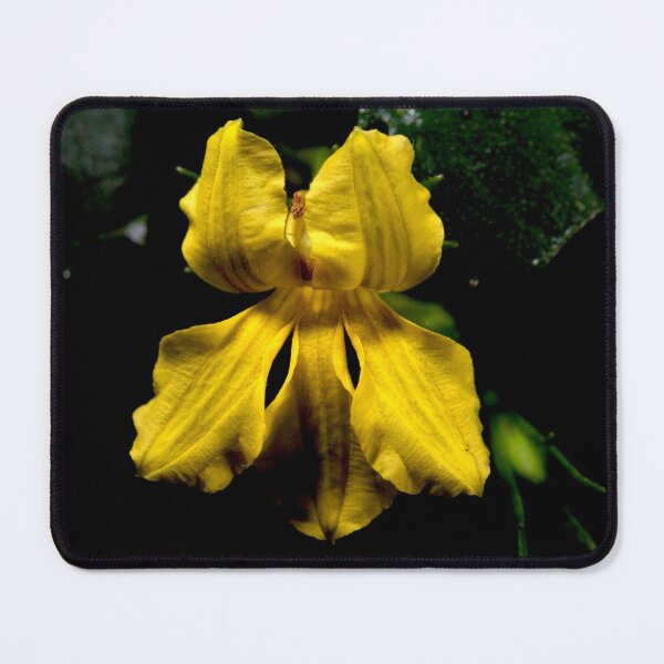 Item preview, Hop Goodenia designed and sold by GP1746.