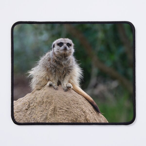 Item preview, Meerkat King Of The Castle designed and sold by GP1746.