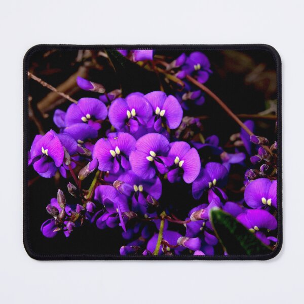 Item preview, Hardenbergia Violacea - False Sarsaparilla designed and sold by GP1746.