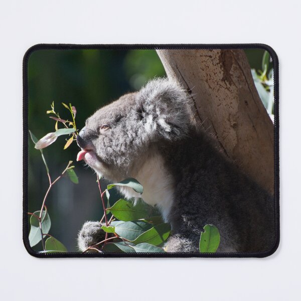 Item preview, Koala - Just A Taste designed and sold by GP1746.