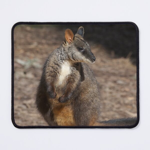 Item preview, Brush Tailed Rock Wallaby designed and sold by GP1746.