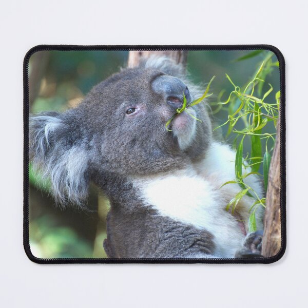 Item preview, Koala Feeding designed and sold by GP1746.