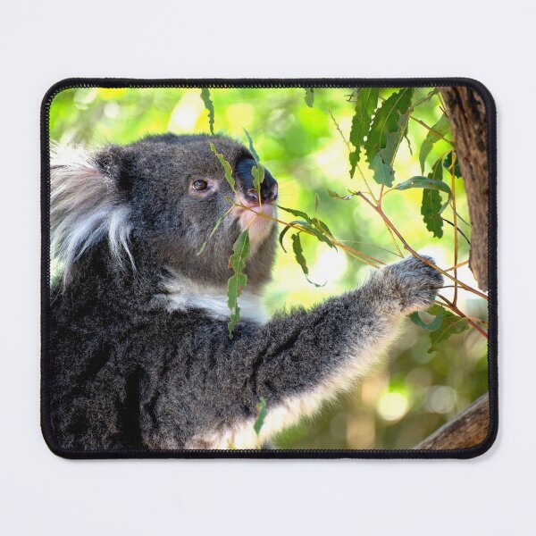 Item preview, Koala At Lunch designed and sold by GP1746.
