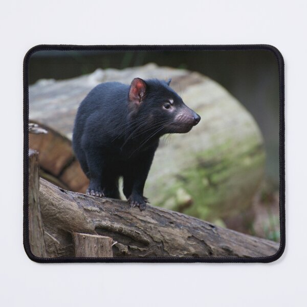 Item preview, Tasmanian Devil designed and sold by GP1746.