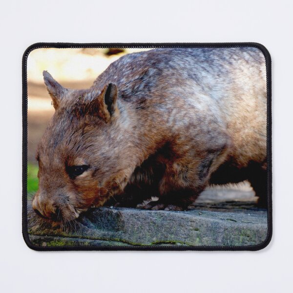 Item preview, Hairy Nosed Wombat designed and sold by GP1746.