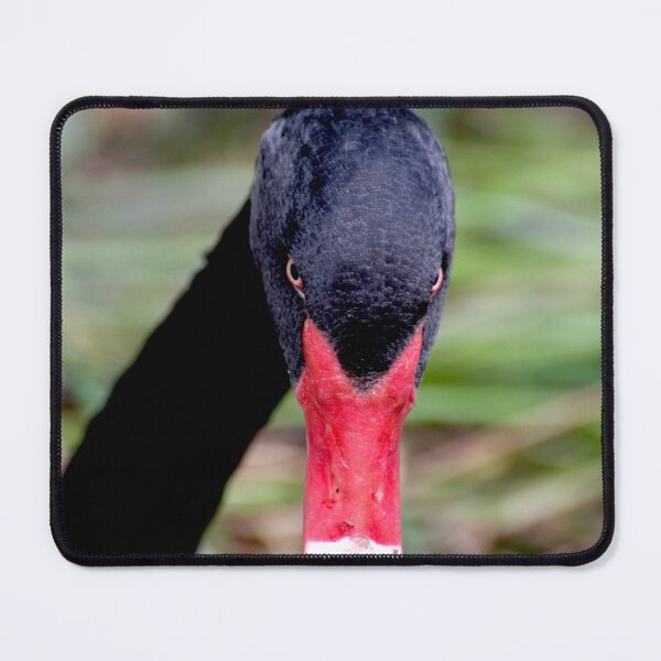 Item preview, Black Swan Portrait designed and sold by GP1746.