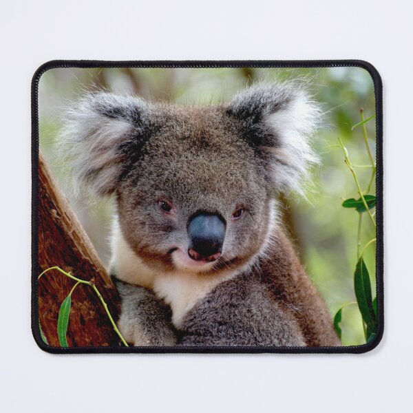 Item preview, Koala Portrait 2 designed and sold by GP1746.