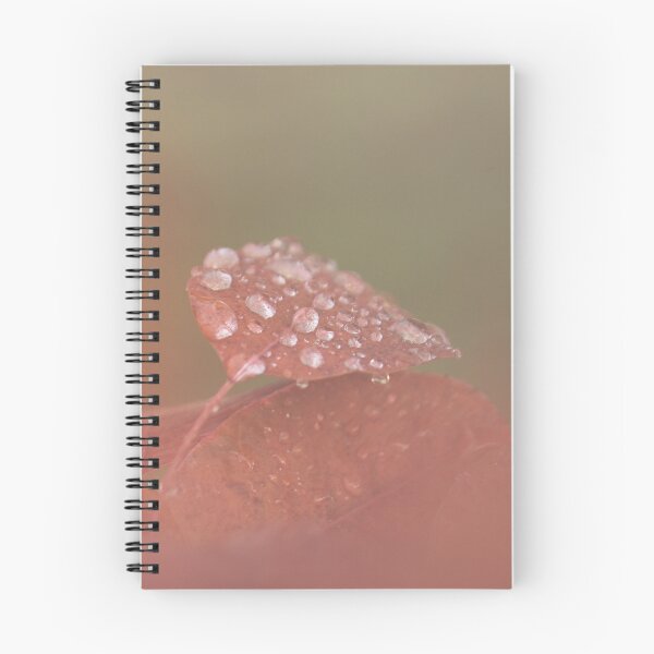 Item preview, Gentle Rains designed and sold by Tracy Friesen.
