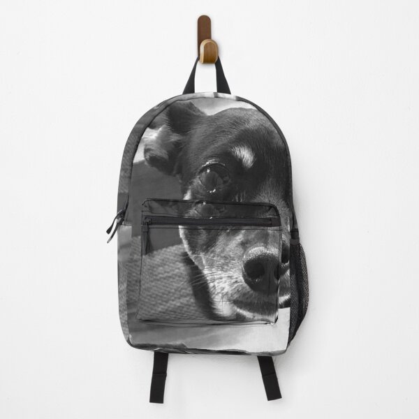 Item preview, Rocco the Tripod Rescue Dog Is Staring at You designed and sold by Happykale.