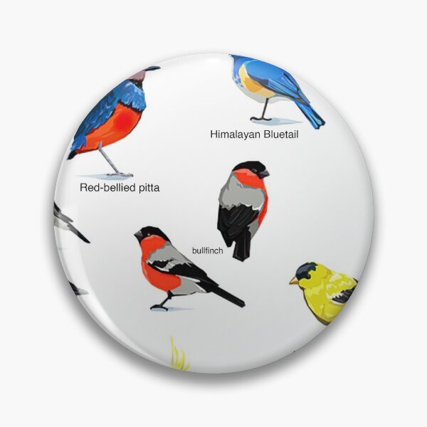 Item preview, Bird Types designed and sold by Streetshop79.