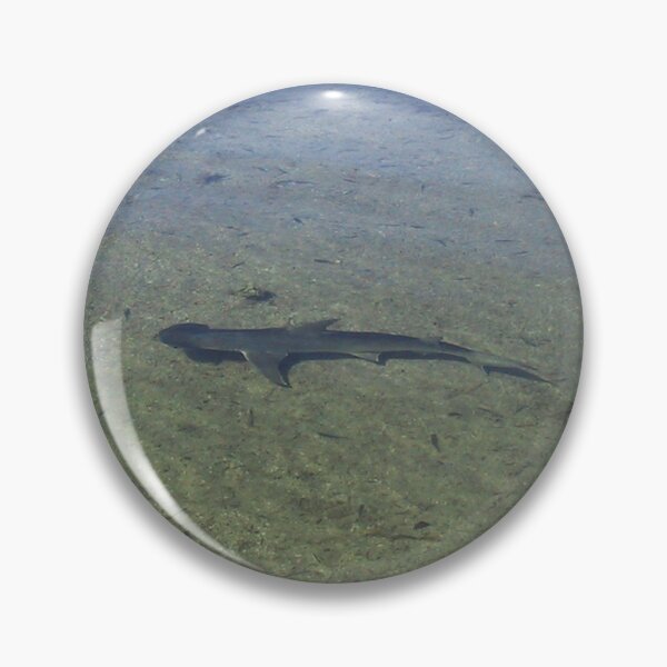 Item preview, Shark in the Keys designed and sold by aura2000.