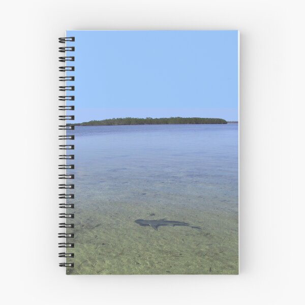 Item preview, Shark in the Keys designed and sold by aura2000.