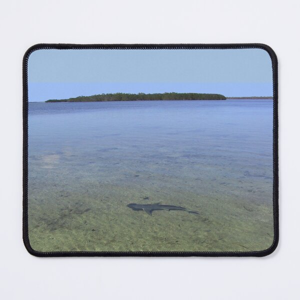 Item preview, Shark in the Keys designed and sold by aura2000.