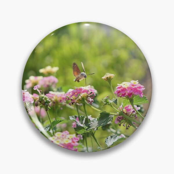 Item preview, hummingbird moth designed and sold by distracted.