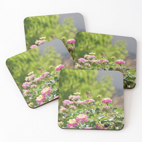 Item preview, hummingbird moth designed and sold by distracted.