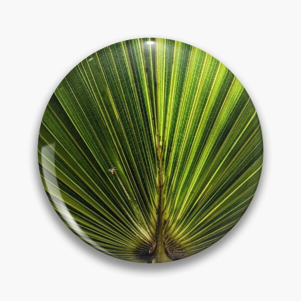 Item preview, Cabbage Tree Palm designed and sold by JillyBeanDesign.