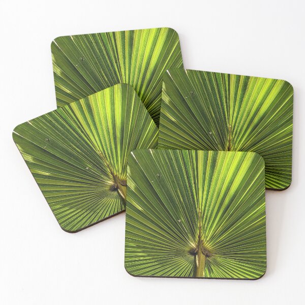 Item preview, Cabbage Tree Palm designed and sold by JillyBeanDesign.